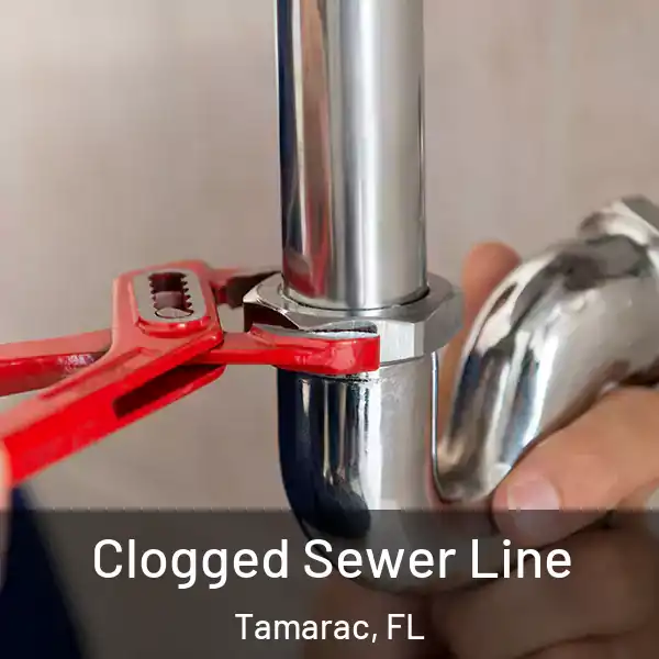  Clogged Sewer Line Tamarac, FL