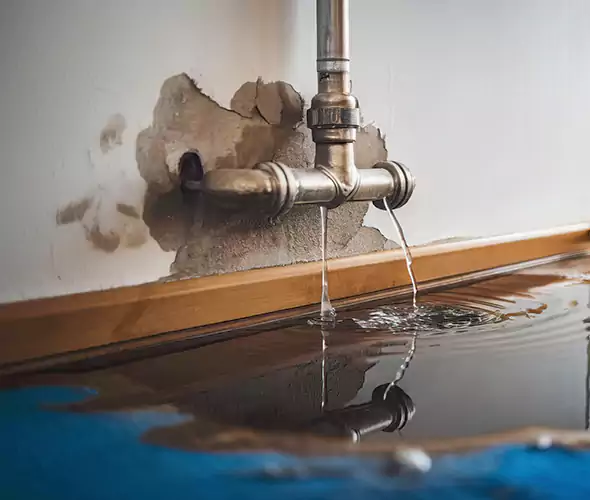 Professional Water Damage Restoration Experts in Tamarac, FL — Fast, Reliable & Certified