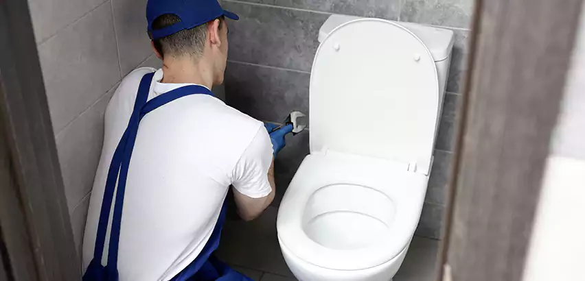 Toilet Lid Replacement in Tamarac