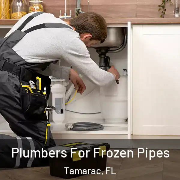  Plumbers For Frozen Pipes Tamarac, FL