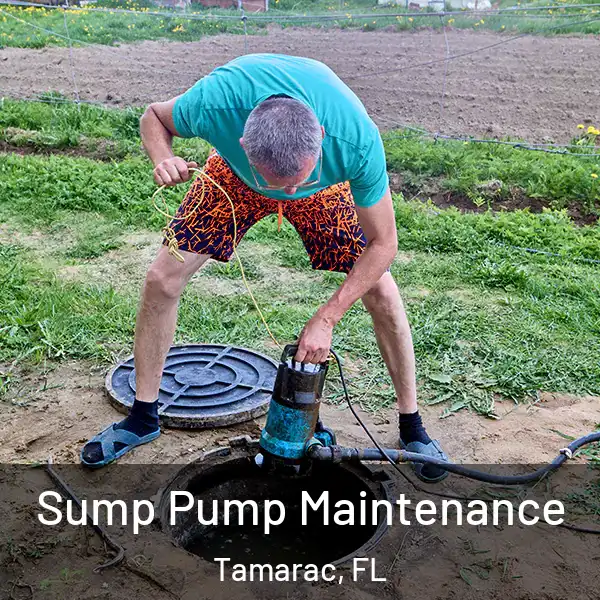  Sump Pump Maintenance Tamarac, FL